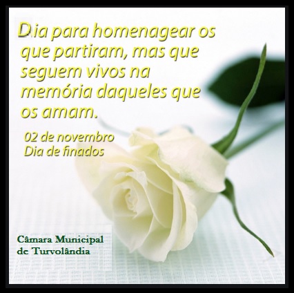 Imagem da notícia: https://www.camaraturvolandia.mg.gov.br/?p=213254