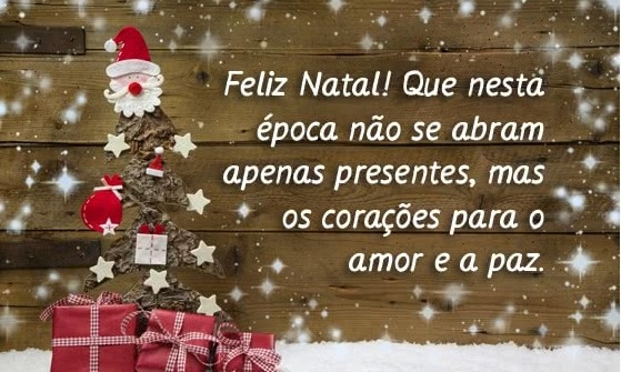 Imagem da notícia: FELIZ NATAL E ANO NOVO