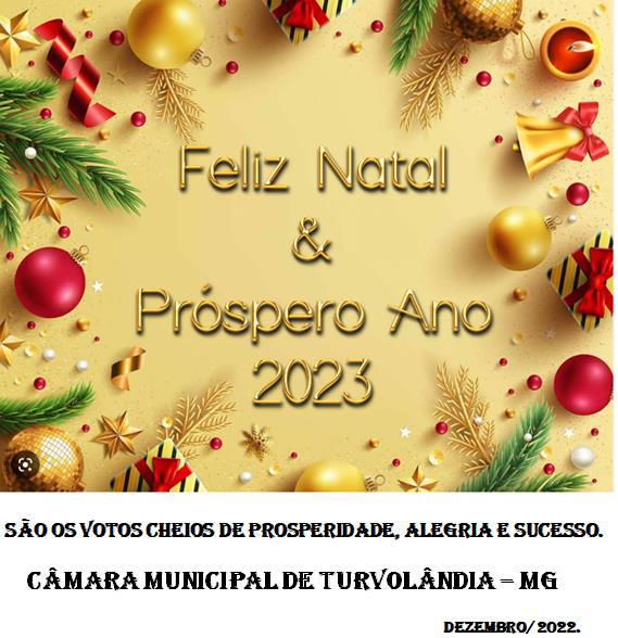 Imagem da notícia: FELIZ NATAL E ANO NOVO.